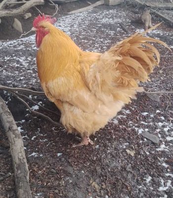 IMG-20240819-WA0028 (1)