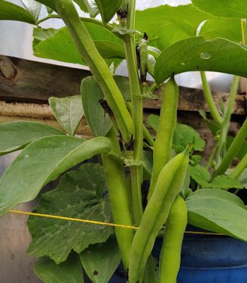 IMG_20241203_113255381_HDR